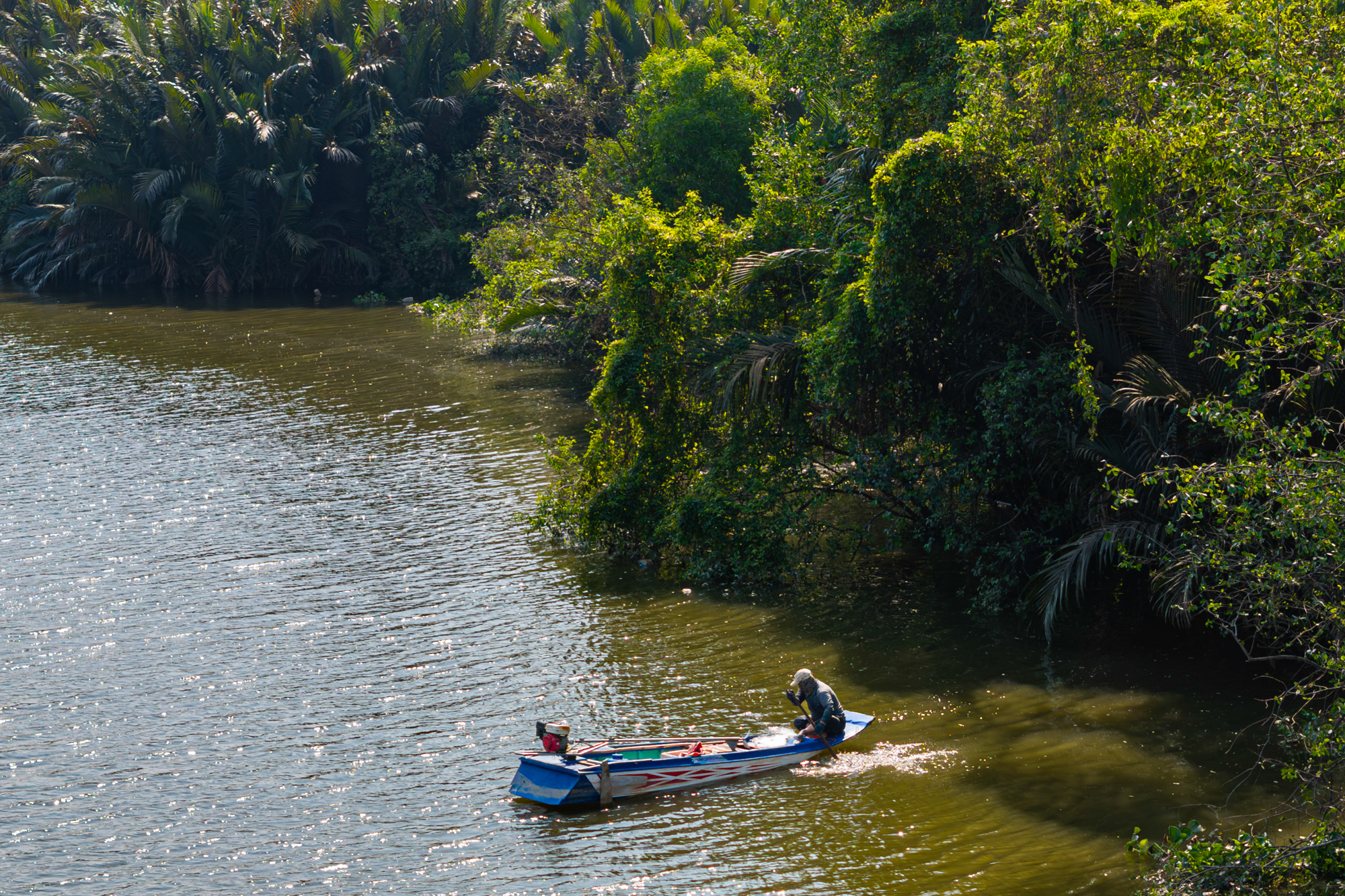 To&agrave;n cảnh khu đất 187 ha to&agrave;n dừa nước, cỏ dại đang được Sun Group r&oacute;t 6 tỷ USD để biến th&agrave;nh si&ecirc;u đ&ocirc; thị ở TP.HCM - Ảnh 11.