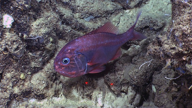 1977912716551d8a06068h 17758008006621529581702 1775876795385 1775876795822286578421