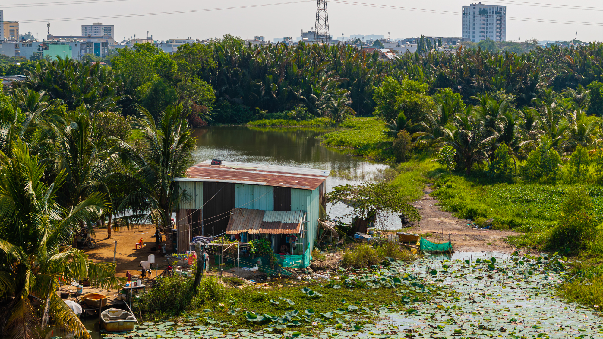 To&agrave;n cảnh khu đất 187 ha to&agrave;n dừa nước, cỏ dại đang được Sun Group r&oacute;t 6 tỷ USD để biến th&agrave;nh si&ecirc;u đ&ocirc; thị ở TP.HCM - Ảnh 3.