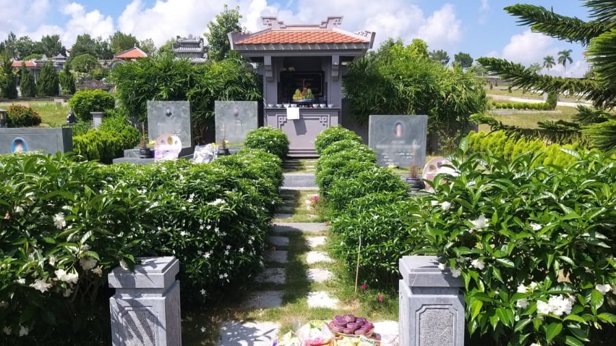 5 loại c&acirc;y đừng trồng trước mộ phần, ảnh hưởng tới người đ&atilde; khuất, ph&uacute;c kh&iacute; của con ch&aacute;u- Ảnh 1.