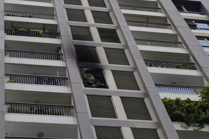 - Ảnh 2. - Ảnh 2.