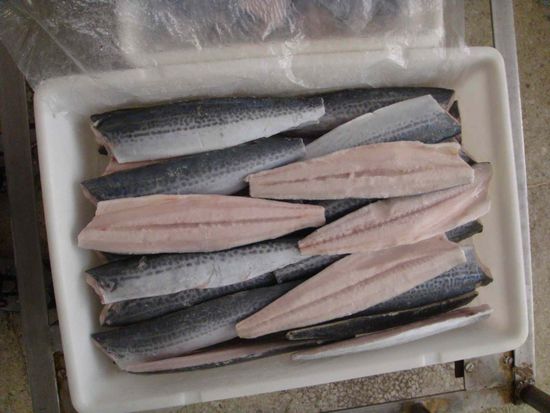 frozen spanish mackerel fillet king fish fillet spanish mackerel steak 17758009967911635290380 1775876800946 17758768011101164843312