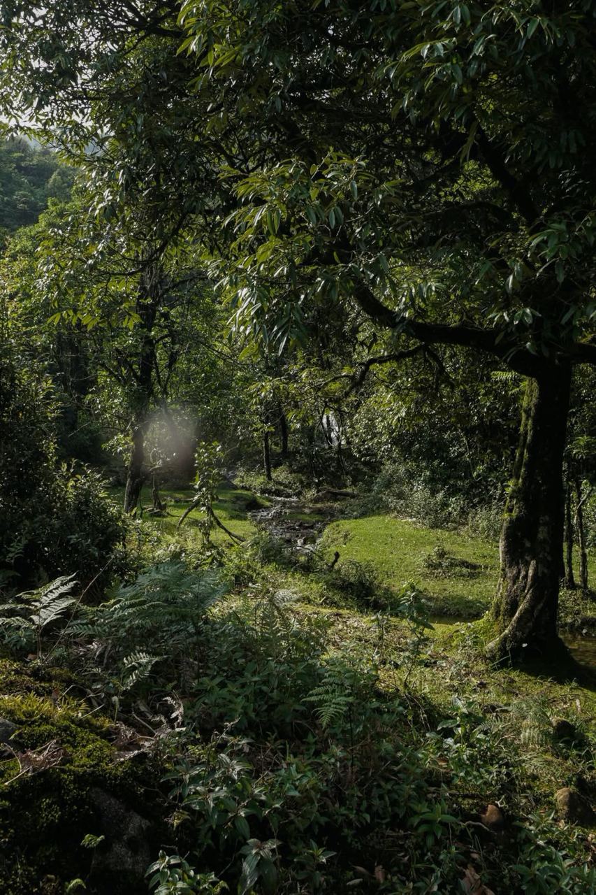 Sa Pa &ndash; thị trấn đẹp nhất Việt Nam trong top 53 thị trấn thế giới - Ảnh 4.