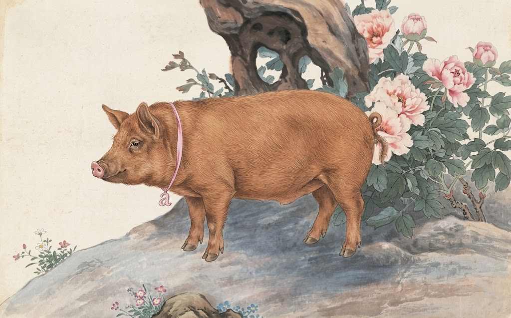 3 con gi&aacute;p may mắn ng&agrave;y 13/4: T&igrave;nh y&ecirc;u thăng hoa, t&agrave;i lộc b&ugrave;ng nổ - Ảnh 1.