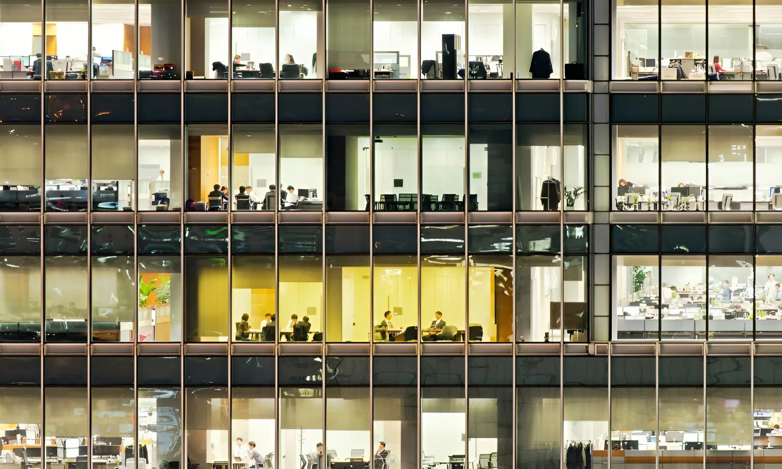 3 ng&agrave;nh học bất ngờ được săn đ&oacute;n năm 2026, AI kh&ocirc;ng thể thay thế - Ảnh 1.