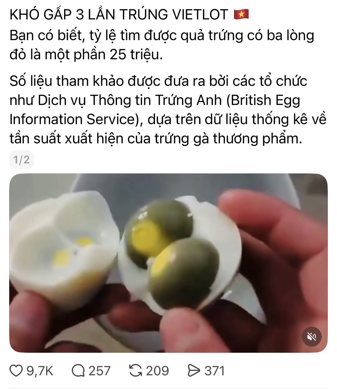 Người đ&agrave;n &ocirc;ng ph&aacute;t hiện quả trứng 3 l&ograve;ng đỏ hiếm hơn tr&uacute;ng Vietlott - Ảnh 1.