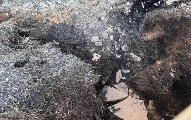 Vụ phát hiện nhiều thi thể trong căn nhà cấp 4: Nghi do bà ngoại tự sát, hé lộ hành động trước đó 2 ngày - Ảnh 2.