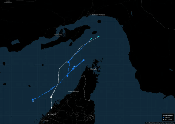 Anh kh&ocirc;ng phong tỏa eo biển Hormuz c&ugrave;ng Mỹ; 2 t&agrave;u dầu chạy đua "ph&aacute; v&acirc;y" - Ảnh 2.