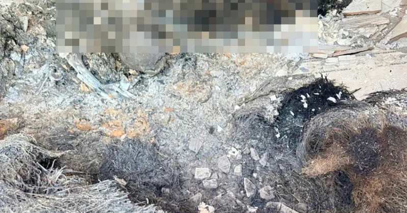 Tin kh&ocirc;ng kh&iacute; lạnh mới nhất: Miền Bắc sắp c&oacute; mưa to - Ảnh 2.