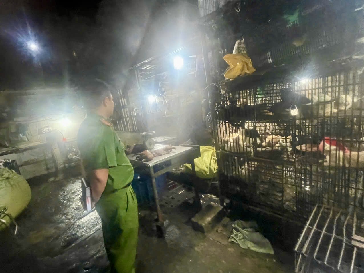 Đột k&iacute;ch 2 l&ograve; giết mổ ch&oacute; m&egrave;o kh&ocirc;ng ph&eacute;p tại TPHCM năm 2026 - Ảnh 1.