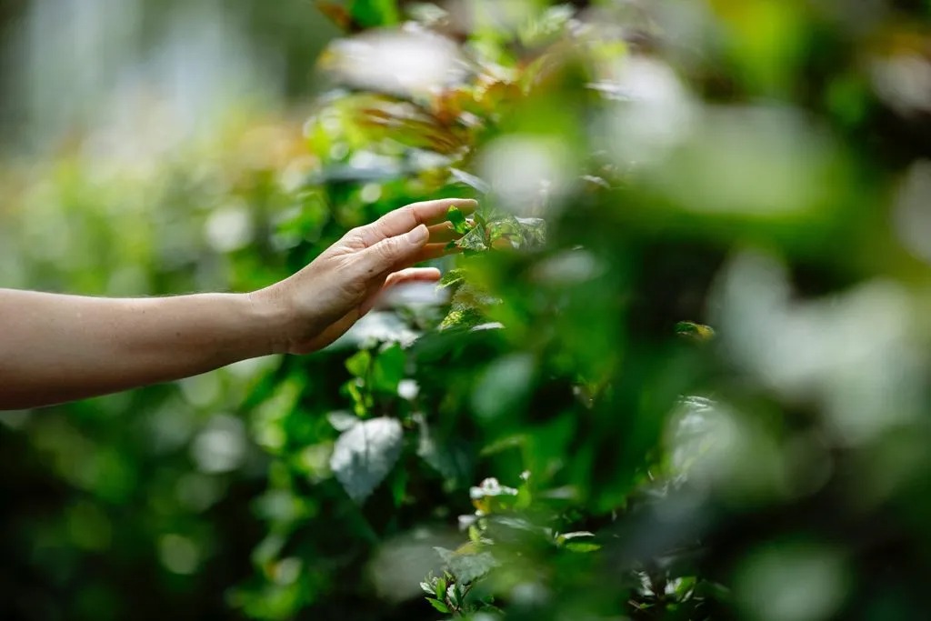 &ldquo;Cải vận&rdquo; cuộc đời giữa l&uacute;c bế tắc: 6 bước xoay chuyển số mệnh được chuy&ecirc;n gia h&eacute; lộ - Ảnh 4.