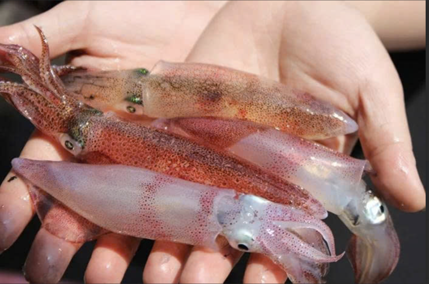 Kh&aacute;m ph&aacute; miền Trung: Điểm đến du lịch hấp dẫn năm 2026 - Ảnh 7.