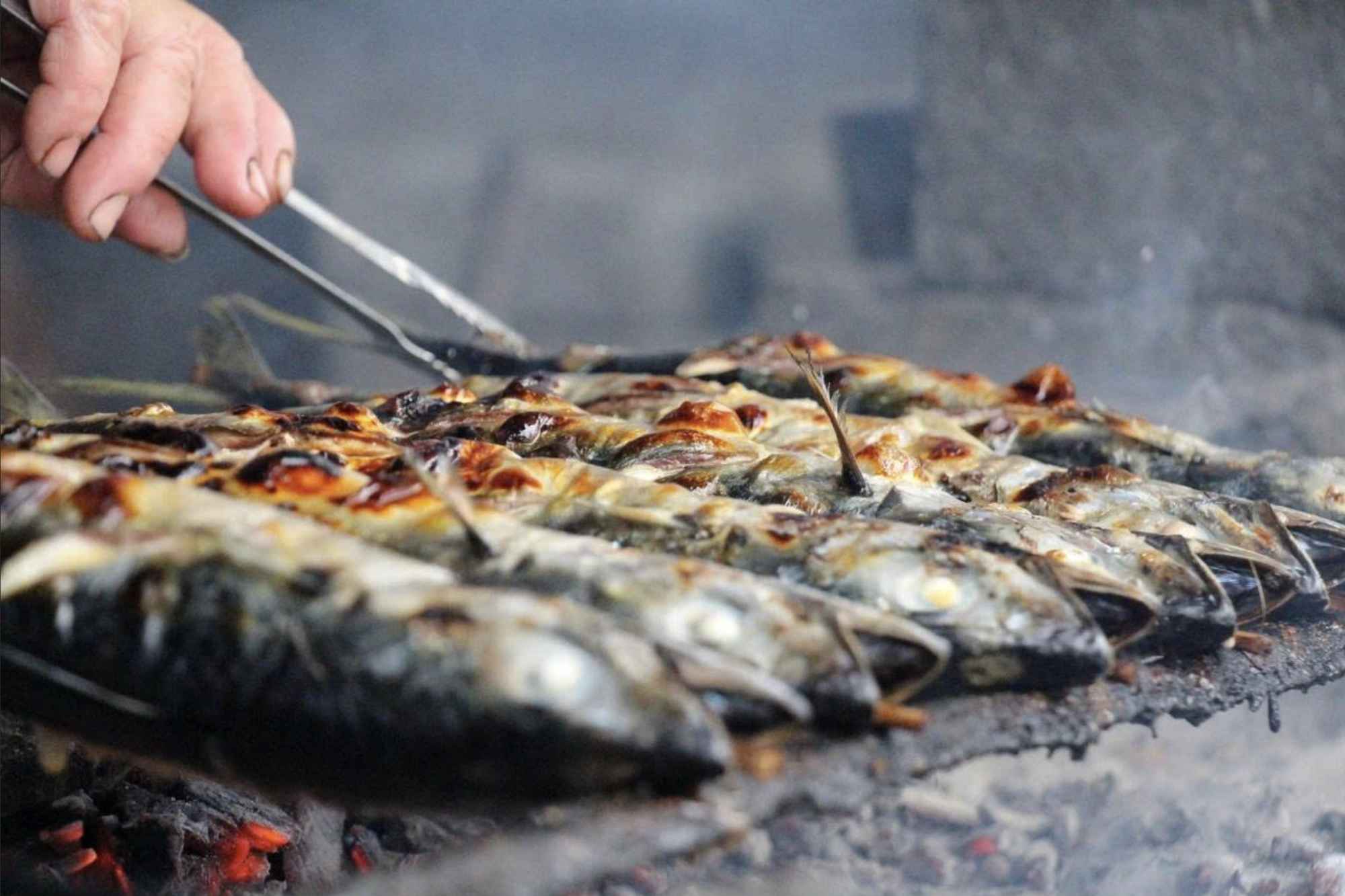 Kh&aacute;m ph&aacute; miền Trung: Điểm đến du lịch hấp dẫn năm 2026 - Ảnh 8.