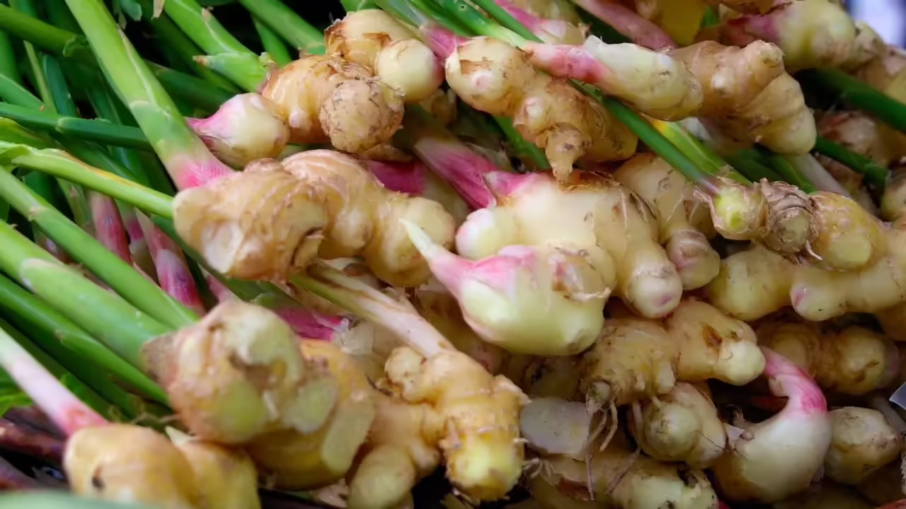 8 loại c&acirc;y được v&iacute; l&agrave; "si&ecirc;u thực phẩm", n&ecirc;n trồng trong nh&agrave; ngay: C&oacute; loại hay bị nhổ bỏ - Ảnh 2.