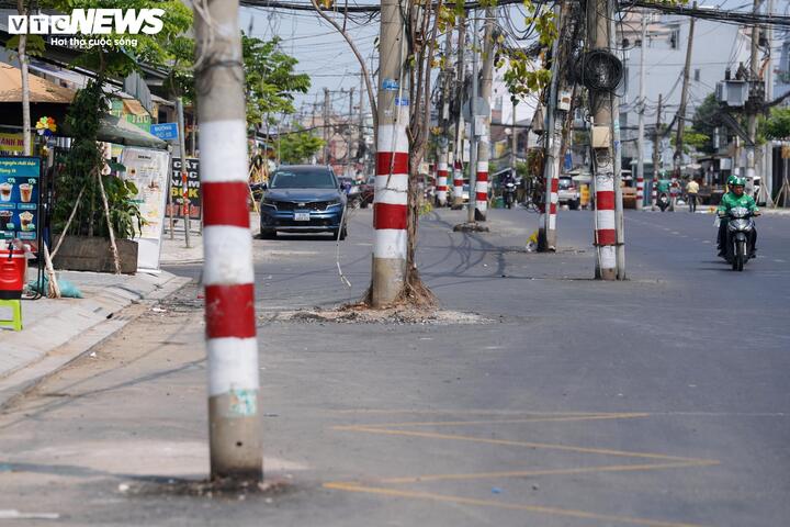 Lý do chậm di dời cột điện giữa dự án đường nghìn tỷ tại TP . HCM - Ảnh 1.