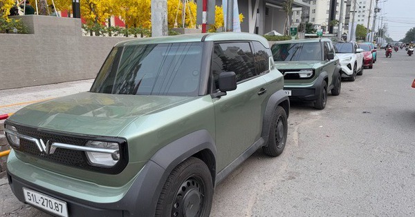 V&igrave; sao Bộ T&agrave;i ch&iacute;nh đề xuất gia hạn ưu đ&atilde;i thuế với xe điện đến hết năm 2030?