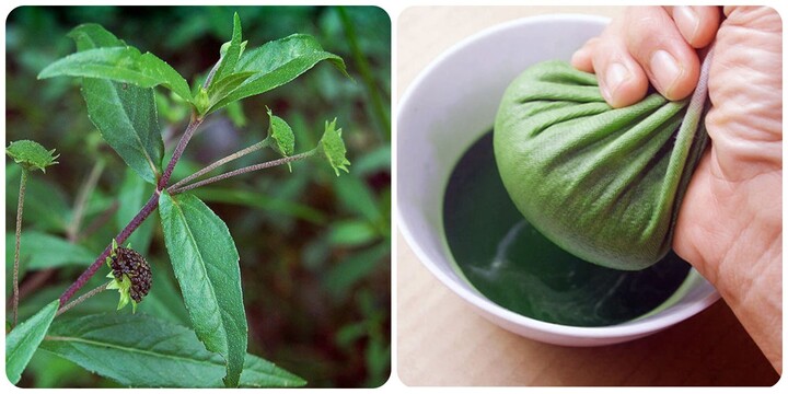 ipiccyimage 4 22272834 1776244527487 1776244529122569338753