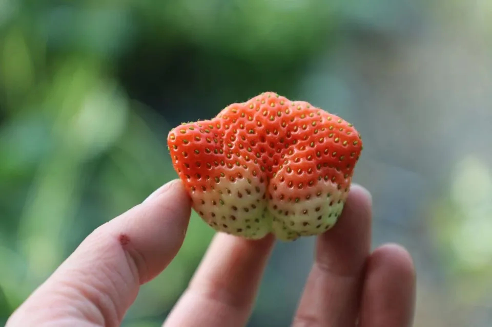 khong co tieu de 115412 1776231239416 1776231239680624280171