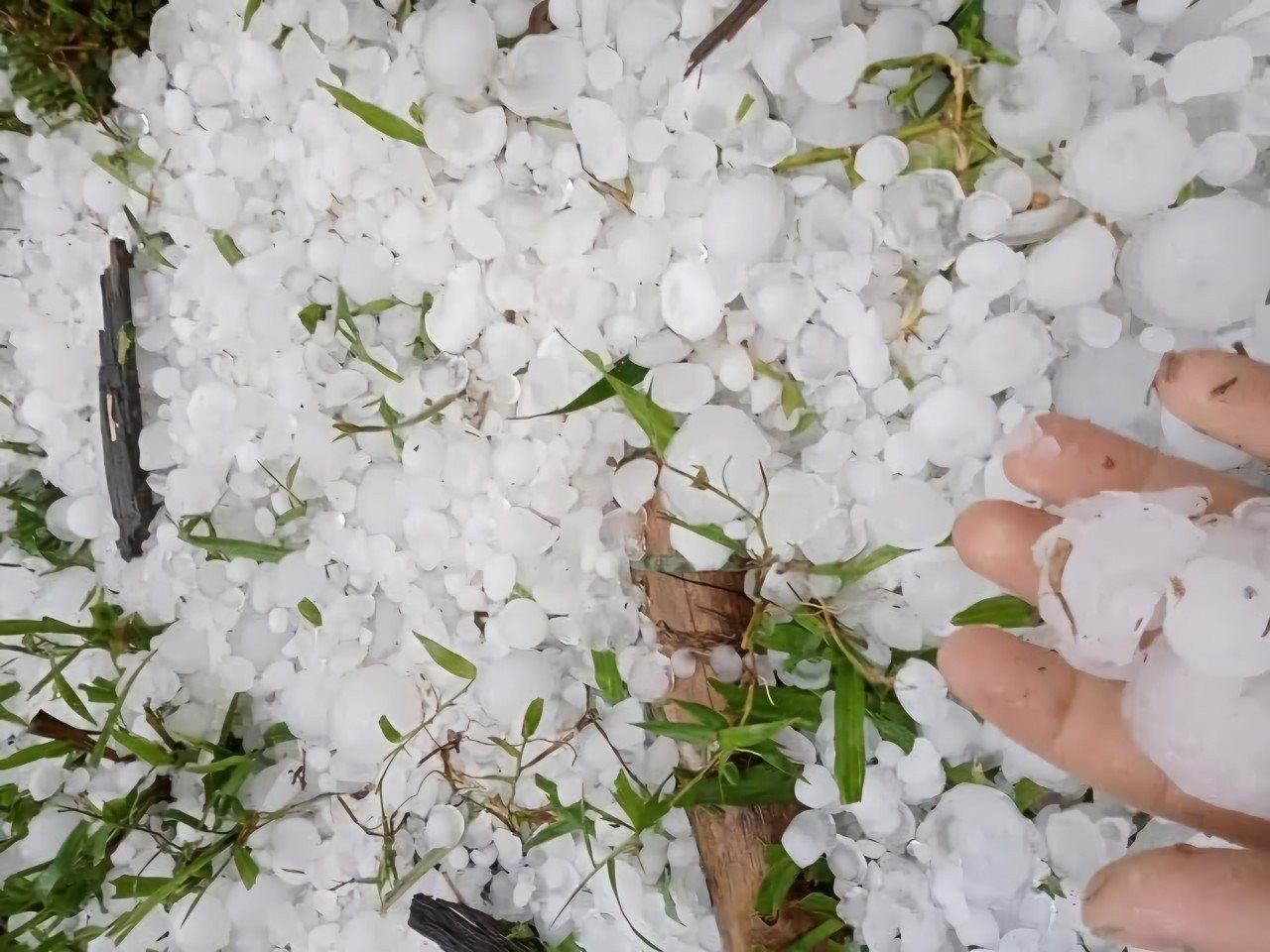 Kh&ocirc;ng kh&iacute; lạnh Miền Bắc sắp ảnh hưởng , cảnh b&aacute;o lốc , s&eacute;t , mưa đ&aacute; - Ảnh 1.