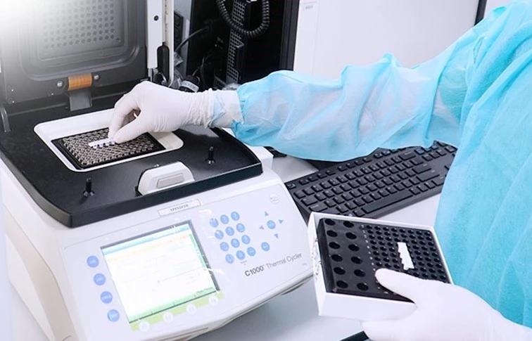 RSV &ndash; mối đe dọa &iacute;t được ch&uacute; &yacute; với người cao tuổi v&agrave; mắc bệnh nền - Ảnh 1.