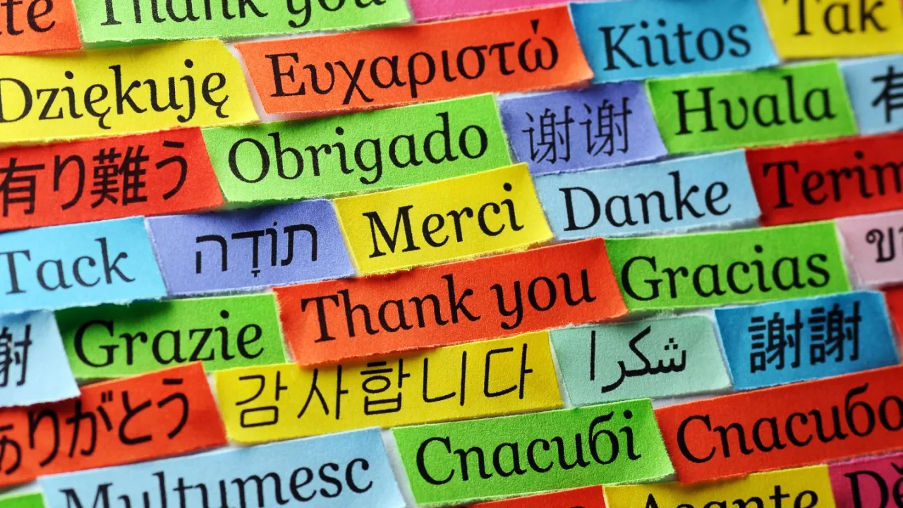 3 ngoại ngữ v&agrave;ng gi&uacute;p bạn ph&aacute;t triển sự nghiệp bền vững trong thời đại AI - Ảnh 1.