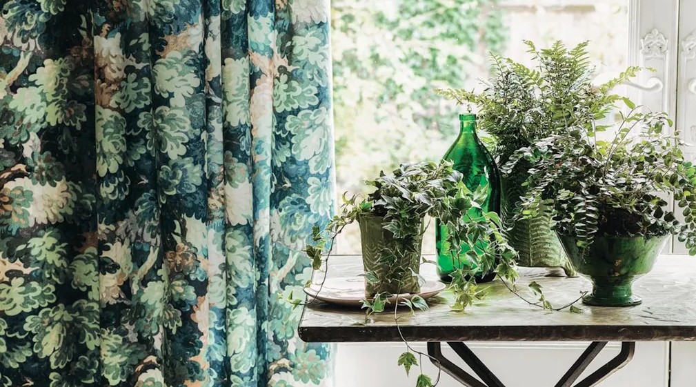 cay trong trong nha 4 1776324082087 17763240831161124483961