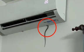 Cảnh b&aacute;o rắn chui v&agrave;o điều h&ograve;a: C&aacute;ch nhận diện v&agrave; xử l&yacute; an to&agrave;n - Ảnh 1.