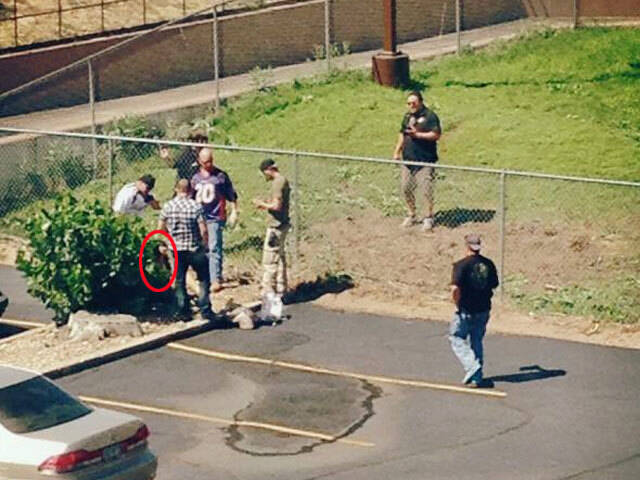 C&acirc;u chuyện về c&ocirc; g&aacute;i đ&acirc;m mẹ 79 nh&aacute;t nổi tiếng tr&ecirc;n TikTok - Ảnh 2.