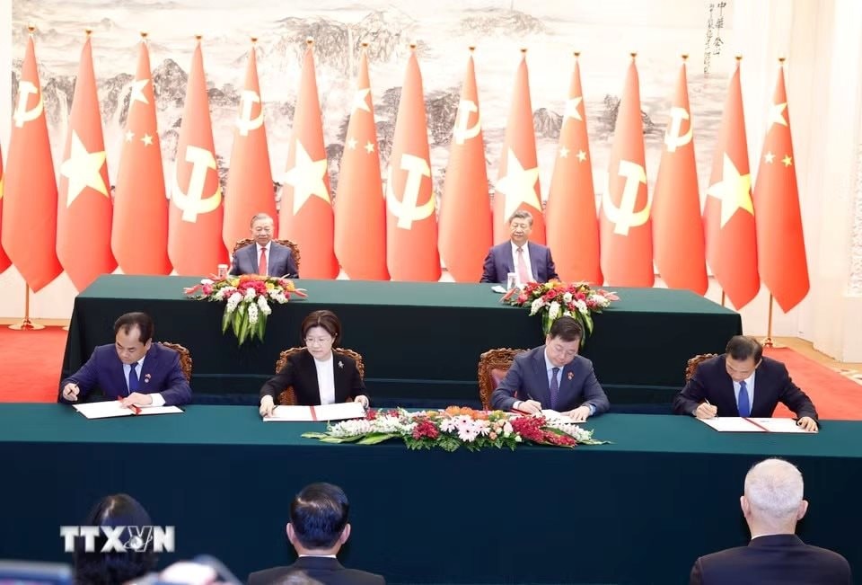 Tin vui: Loại quả Việt Nam trồng hơn 100.000 ha vừa ch&iacute;nh thức c&oacute; &ldquo;visa&rdquo; sang Trung Quốc - Ảnh 1.