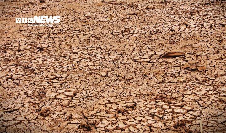 Khả năng xuất hiện El Nino mạnh 2026 - 2027 v&agrave; nguy cơ thiếu hụt nguồn nước - Ảnh 1.