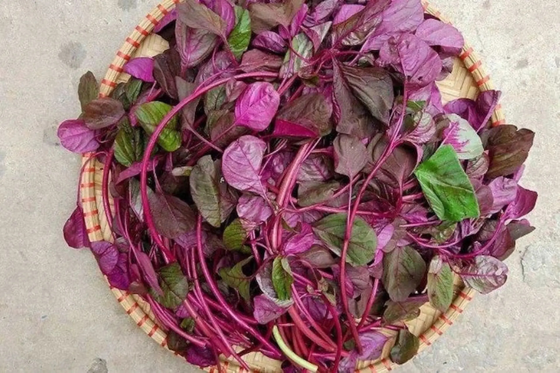 3 loại rau c&oacute; thể g&acirc;y hại cho thận nếu ăn qu&aacute; nhiều: Th&iacute;ch tới mấy cũng phải cẩn trọng - Ảnh 2.