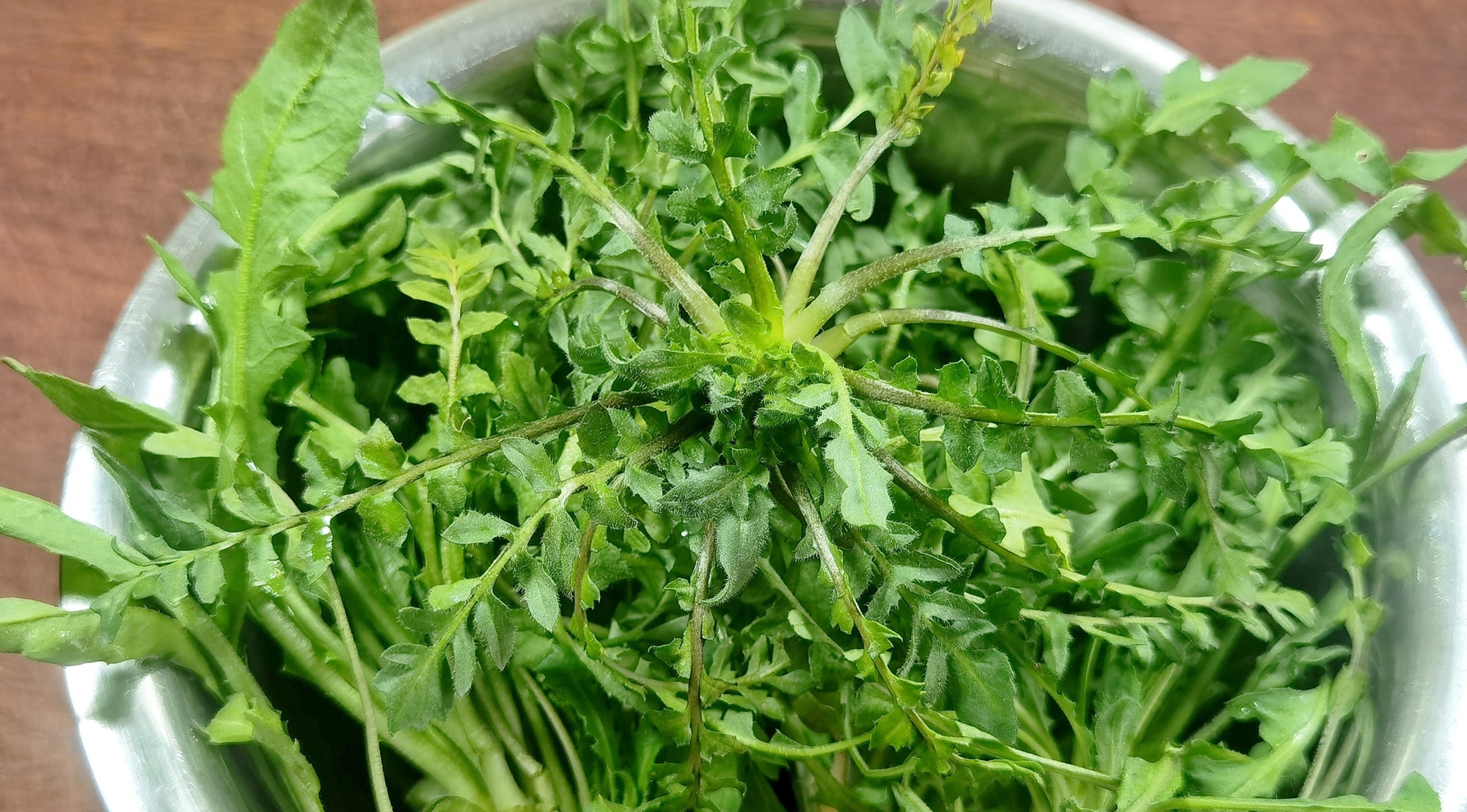 3 loại rau bổ gan, n&ecirc;n bổ sung ngay v&agrave;o bữa ăn của cả nh&agrave;: Loại cuối c&ugrave;ng mọc hoang đầy Việt Nam - Ảnh 3.