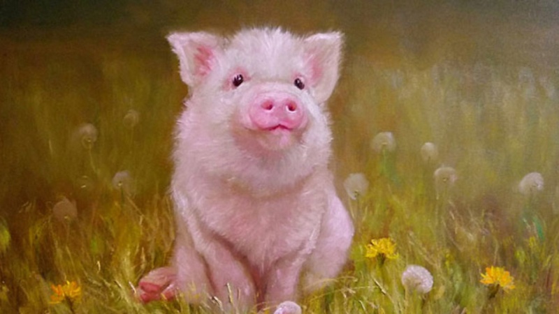 Chuy&ecirc;n gia dự b&aacute;o: 5 năm tới, 3 con gi&aacute;p c&oacute; cơ hội bứt ph&aacute; t&agrave;i ch&iacute;nh, thu nhập mở rộng từ nhiều nguồn- Ảnh 1.