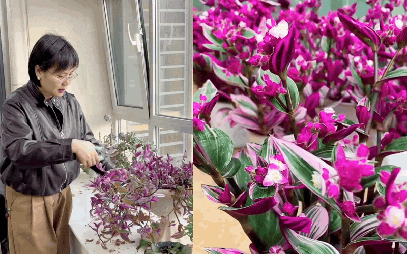 Th&agrave;i l&agrave;i cẩm thạch: Giải ph&aacute;p ho&agrave;n hảo cho ban c&ocirc;ng sống động - Ảnh 1.