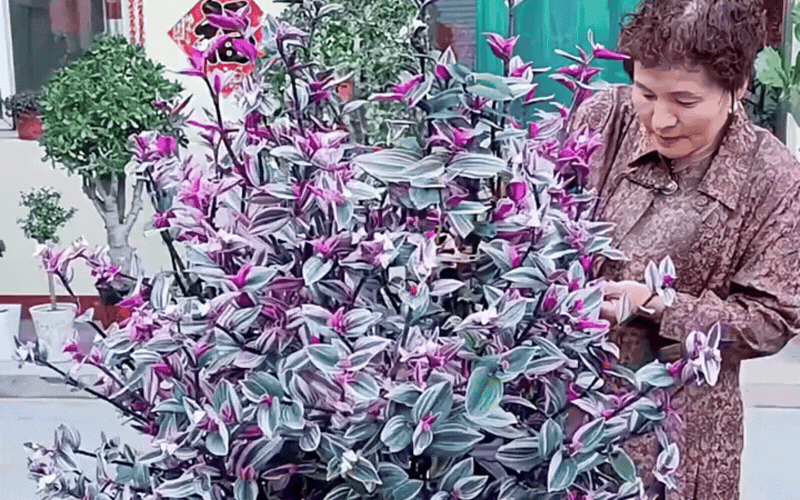 Th&agrave;i l&agrave;i cẩm thạch: Giải ph&aacute;p ho&agrave;n hảo cho ban c&ocirc;ng sống động - Ảnh 2.