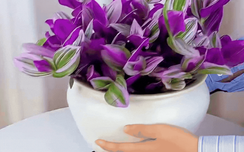 Th&agrave;i l&agrave;i cẩm thạch: Giải ph&aacute;p ho&agrave;n hảo cho ban c&ocirc;ng sống động - Ảnh 9.