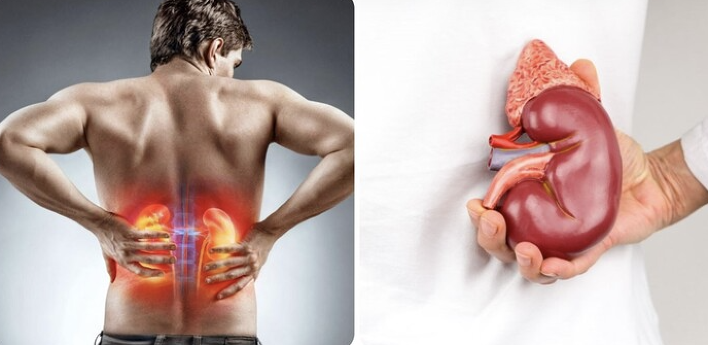 1 1776587055602 177658705686839883168