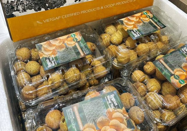 Loại quả b&aacute;n đầy chợ Việt gi&aacute; 15.000 đồng: Sang ch&acirc;u &Acirc;u h&oacute;a 'h&agrave;ng hiệu' 600.000 đồng/kg, thu chục triệu USD - Ảnh 2.