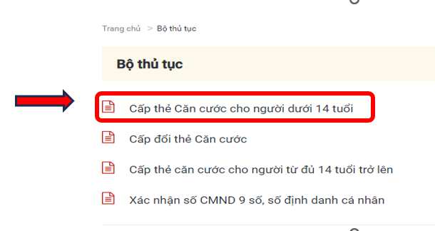 Thông tin quan trọng về việc cấp thẻ Căn cước cho trẻ em - Ảnh 8.