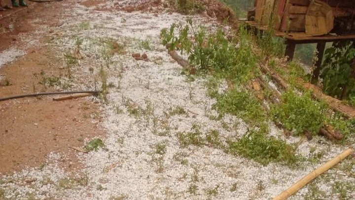 Mưa đá Sơn La 2026 gây thiệt hại lớn , đồi núi trắng xóa sau cơn dông - Ảnh 1.