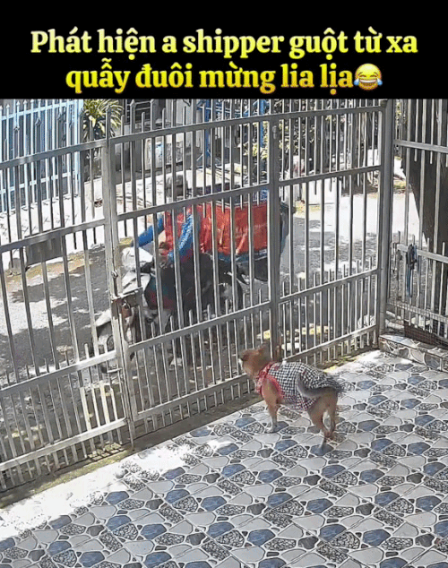 2h chiều kh&aacute;ch đang ngủ trưa, shipper bị camera an ninh ghi lại chuỗi hoạt động &acirc;m thầm- Ảnh 5.