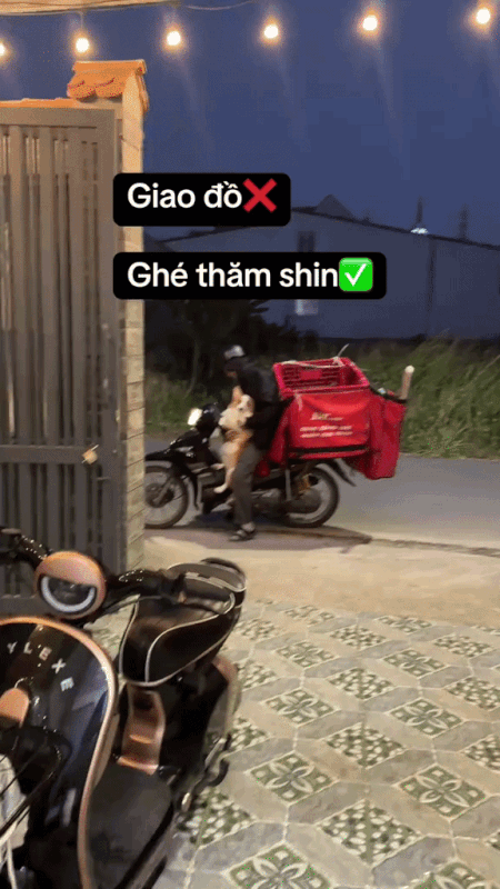 2h chiều kh&aacute;ch đang ngủ trưa, shipper bị camera an ninh ghi lại chuỗi hoạt động &acirc;m thầm- Ảnh 6.