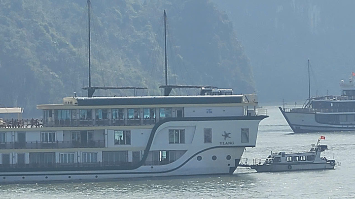 Phạt chủ t&agrave;u du lịch 70 triệu đồng v&igrave; sử dụng Starlink tr&aacute;i ph&eacute;p tại C&aacute;t B&agrave; - Ảnh 1.