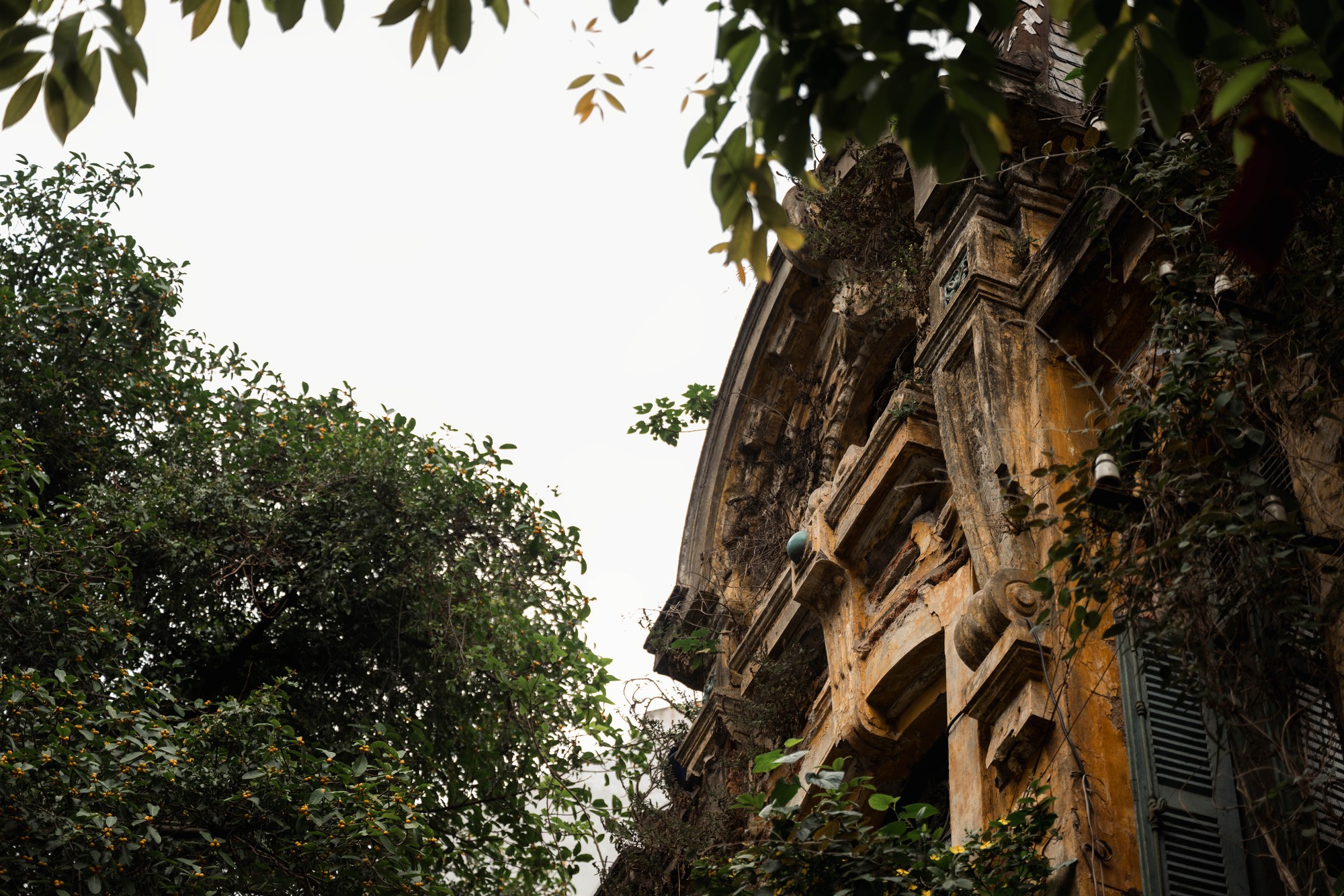 Chuyện về căn biệt thự 57B Hàng Bồ: Ký ức Hà Nội giữa lòng phố cổ - Ảnh 14. Chuyện về căn biệt thự 57B Hàng Bồ: Ký ức Hà Nội giữa lòng phố cổ - Ảnh 14.