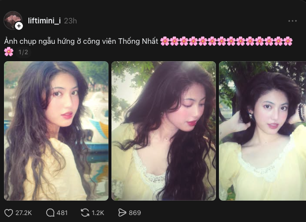 Hơn 27 ngh&igrave;n người thả tim cho bức ảnh chụp vội ở c&ocirc;ng vi&ecirc;n Thống Nhất- Ảnh 4.