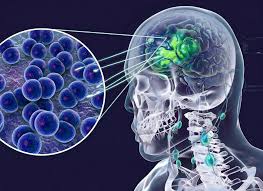 Vụ 2 ca dương t&iacute;nh với n&atilde;o m&ocirc;: C&agrave; Mau c&oacute; c&ocirc;ng bố mới - Ảnh 1.