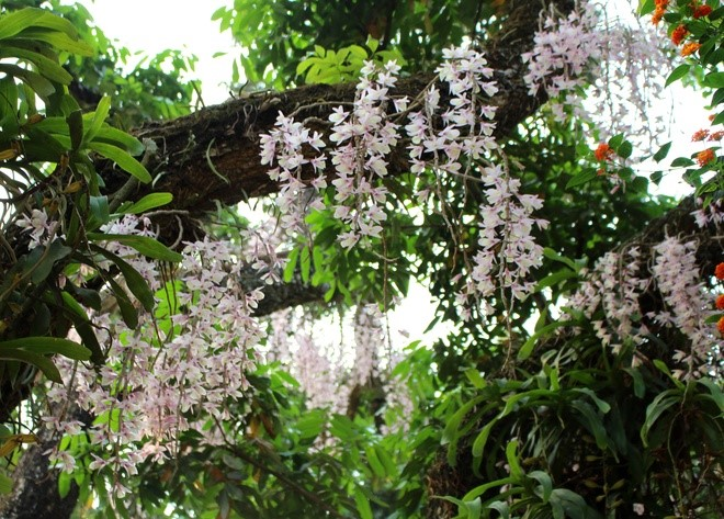 photo 1776591924898 17765919254662128871036 1776643449519 1776643449757167771158