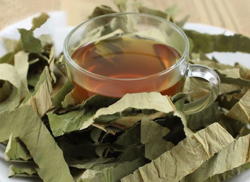 Lời khuy&ecirc;n hữu &iacute;ch cho những gia đ&igrave;nh đang trồng c&acirc;y mướp - Ảnh 3.