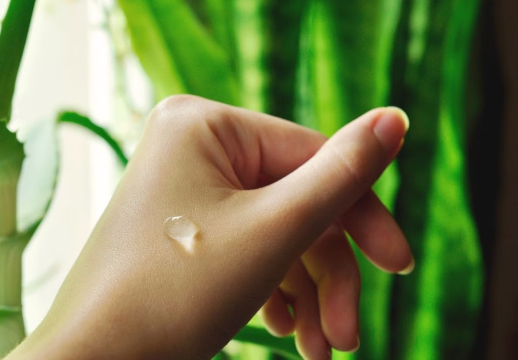 loi khuyen den nhung gia dinh dang trong cay nha dam anh4 080133 1776760472087 17767604724721106876351