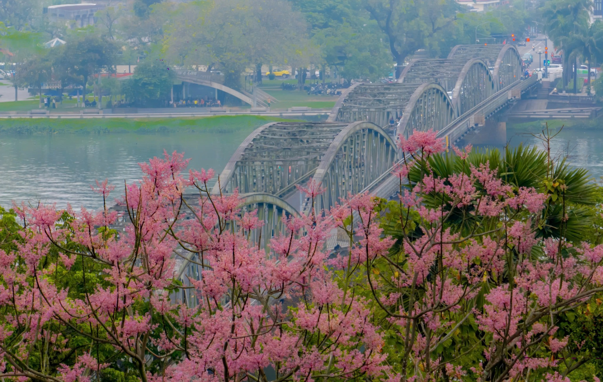 Tin cực vui cho kh&aacute;ch Việt đi Huế dịp lễ 30/4 - 1/5 - Ảnh 4.